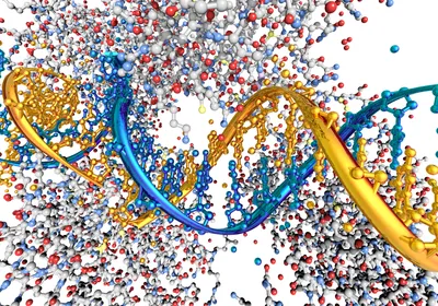 A DNA strand in yellow and blue is surrounded by a poly (ADP-ribose) polymerase (PARP) protein.